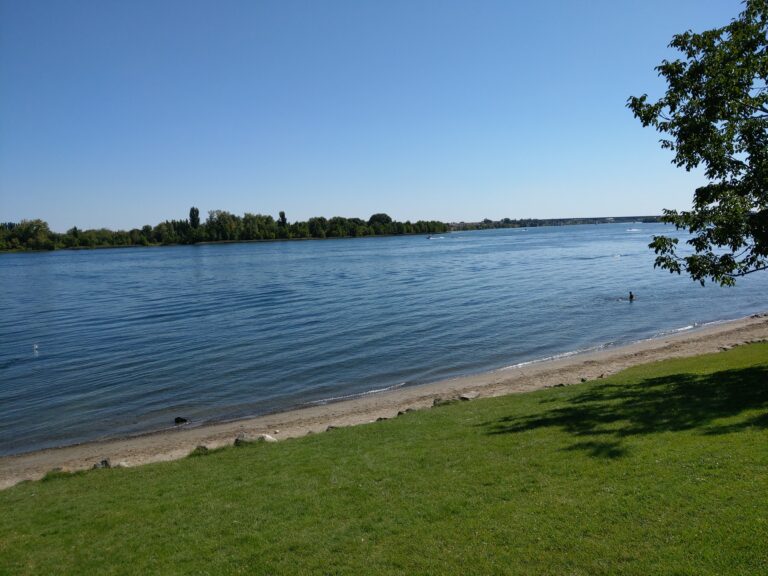 Columbia River, Sunday, 2019 [photo: D.M. Carson]